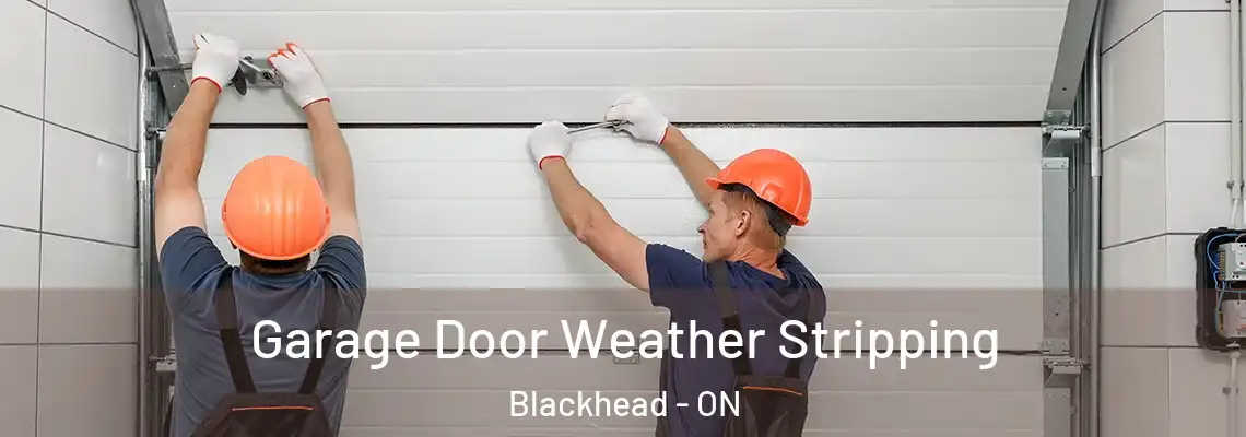 Garage Door Weather Stripping Blackhead - ON