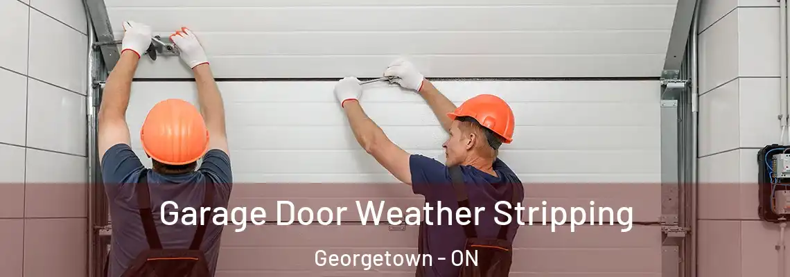 Garage Door Weather Stripping Georgetown - ON