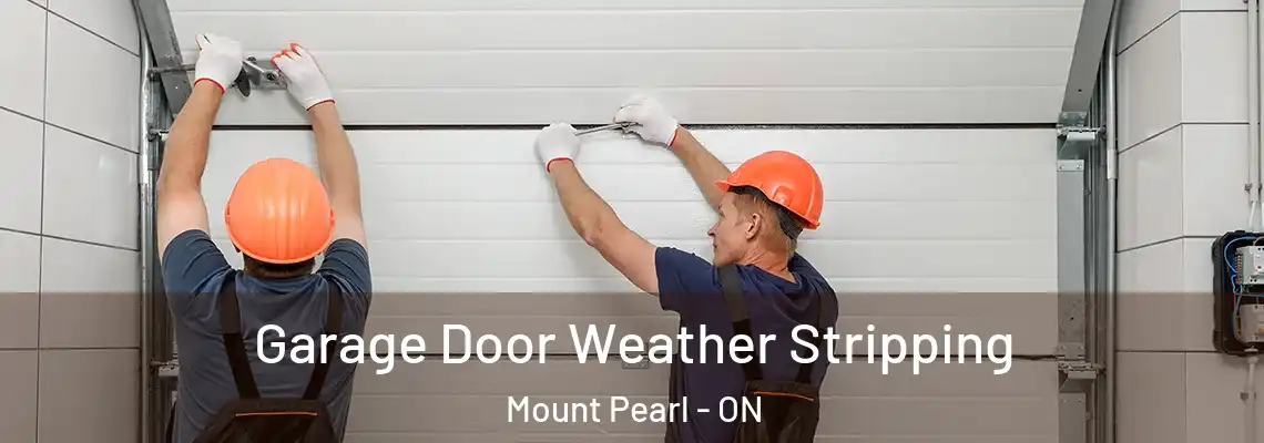 Garage Door Weather Stripping Mount Pearl - ON