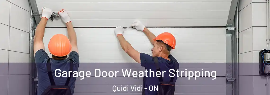 Garage Door Weather Stripping Quidi Vidi - ON
