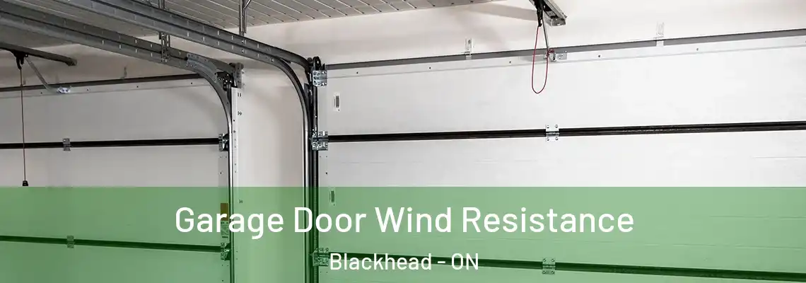 Garage Door Wind Resistance Blackhead - ON