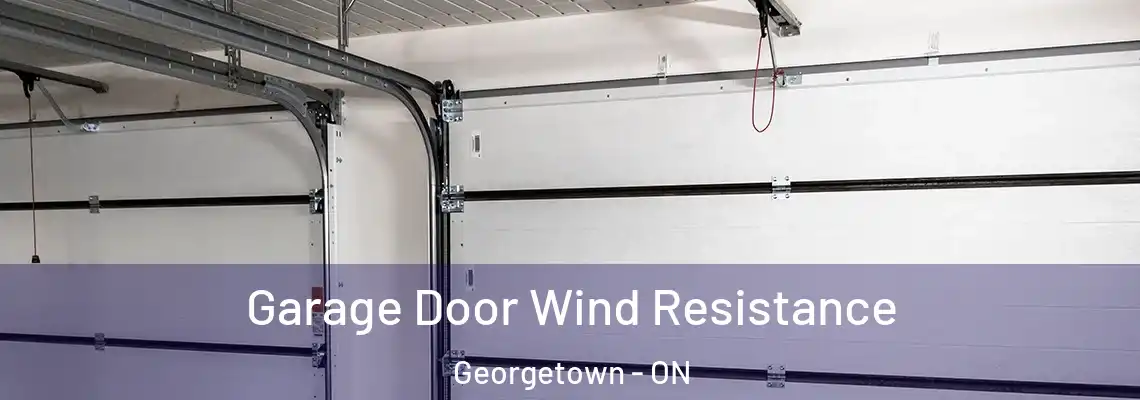 Garage Door Wind Resistance Georgetown - ON