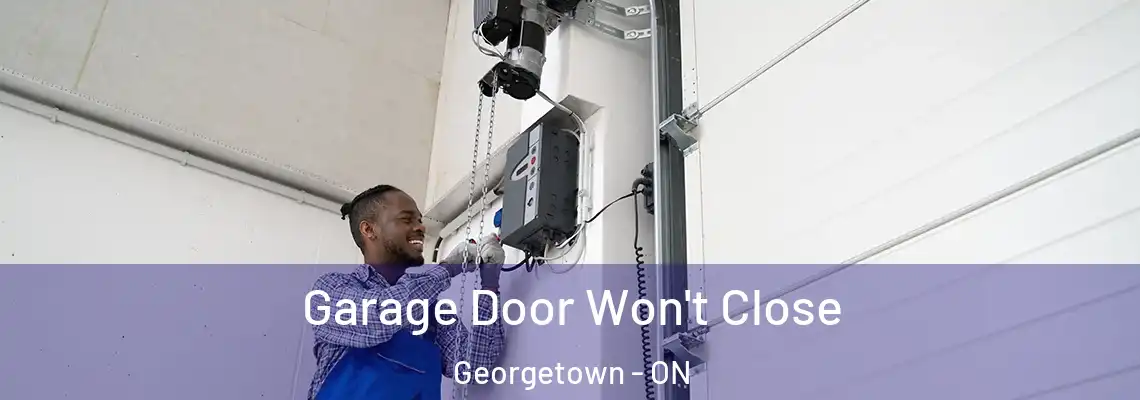 Garage Door Won't Close Georgetown - ON
