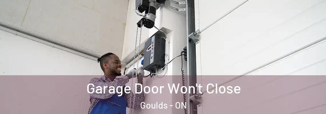 Garage Door Won't Close Goulds - ON
