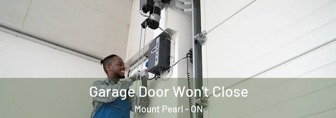 Garage Door Won't Close Mount Pearl - ON