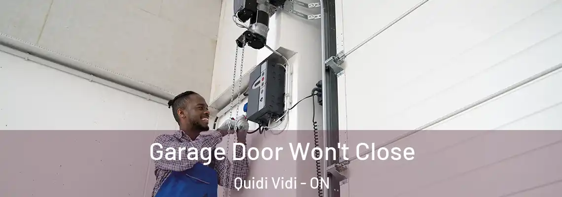 Garage Door Won't Close Quidi Vidi - ON