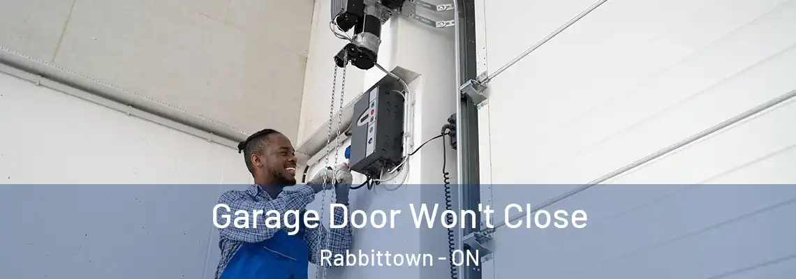 Garage Door Won't Close Rabbittown - ON