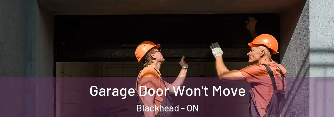 Garage Door Won't Move Blackhead - ON