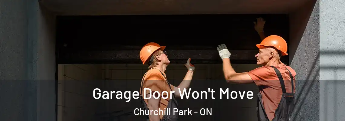 Garage Door Won't Move Churchill Park - ON