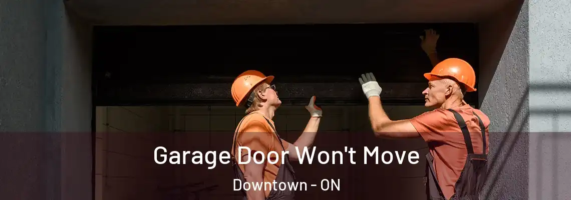 Garage Door Won't Move Downtown - ON