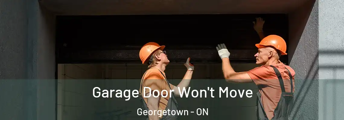 Garage Door Won't Move Georgetown - ON