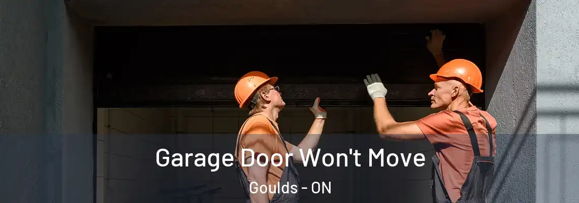 Garage Door Won't Move Goulds - ON