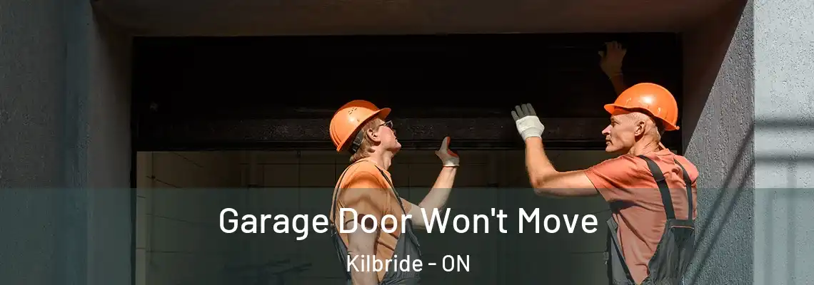 Garage Door Won't Move Kilbride - ON
