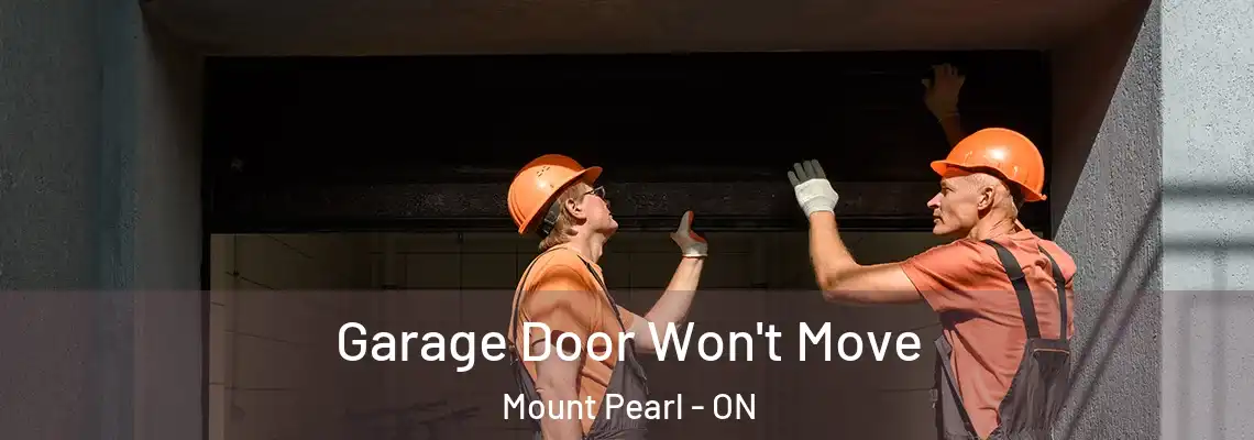 Garage Door Won't Move Mount Pearl - ON