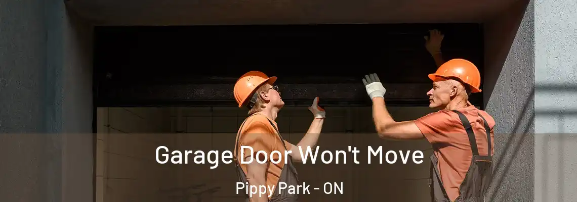 Garage Door Won't Move Pippy Park - ON