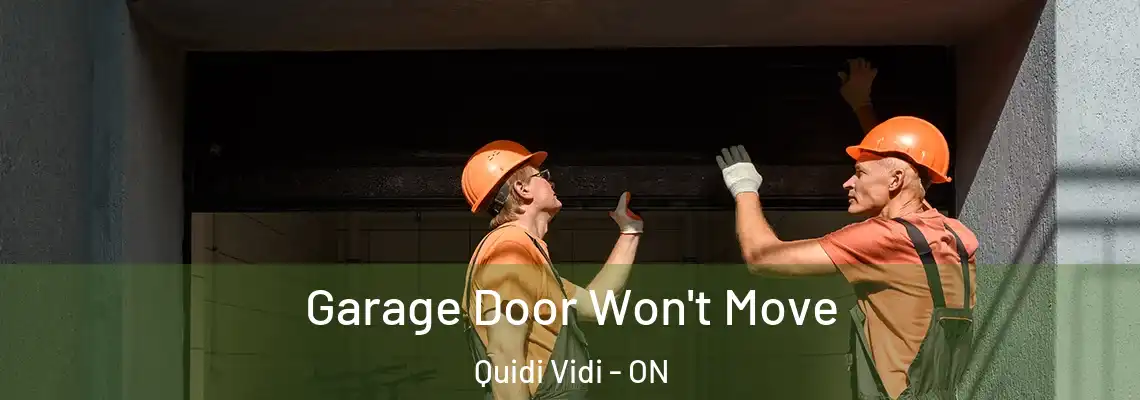 Garage Door Won't Move Quidi Vidi - ON