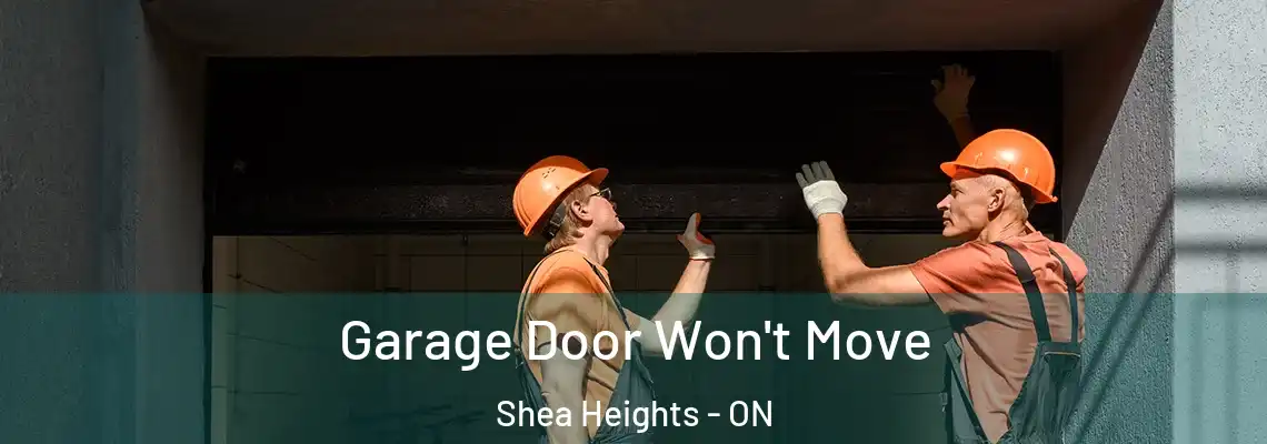 Garage Door Won't Move Shea Heights - ON