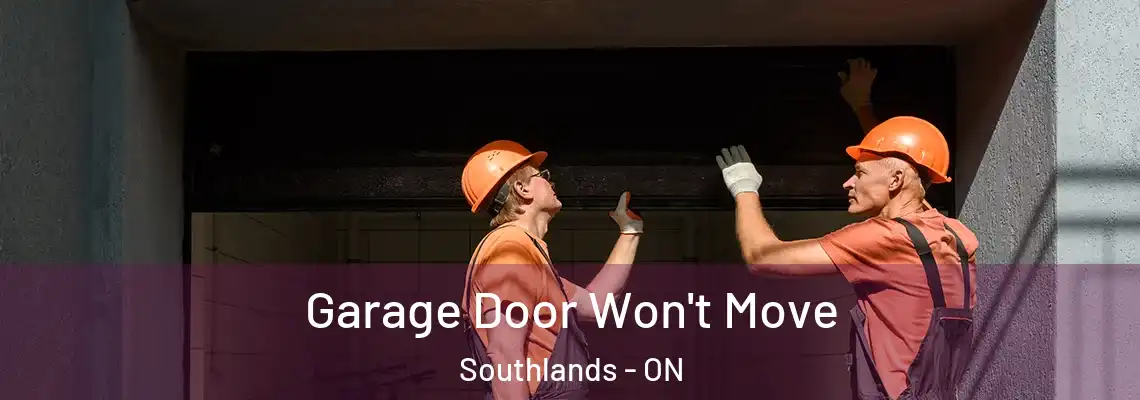 Garage Door Won't Move Southlands - ON