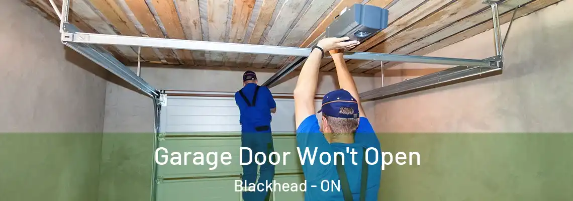 Garage Door Won't Open Blackhead - ON