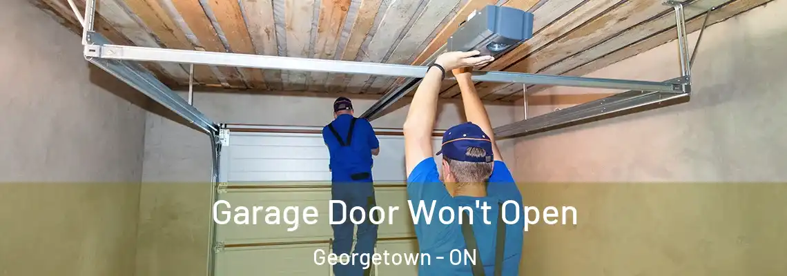Garage Door Won't Open Georgetown - ON