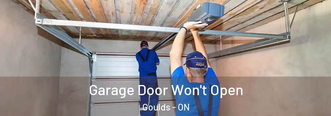 Garage Door Won't Open Goulds - ON
