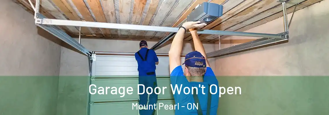Garage Door Won't Open Mount Pearl - ON