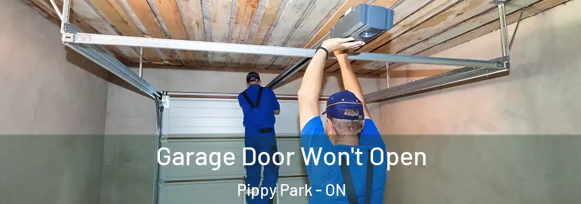 Garage Door Won't Open Pippy Park - ON