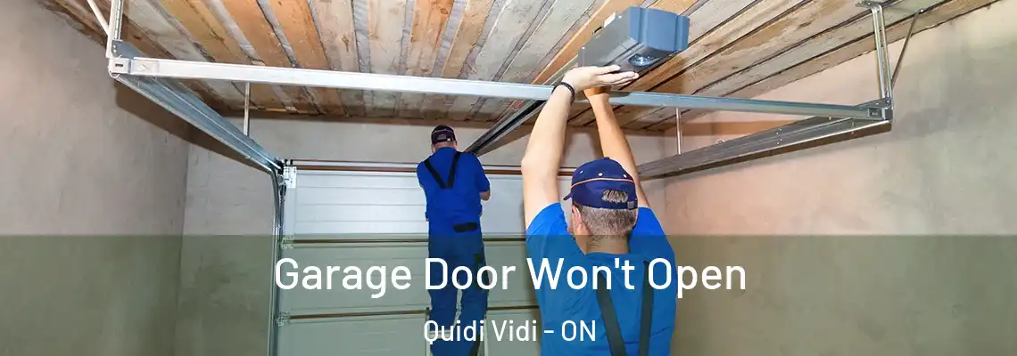 Garage Door Won't Open Quidi Vidi - ON