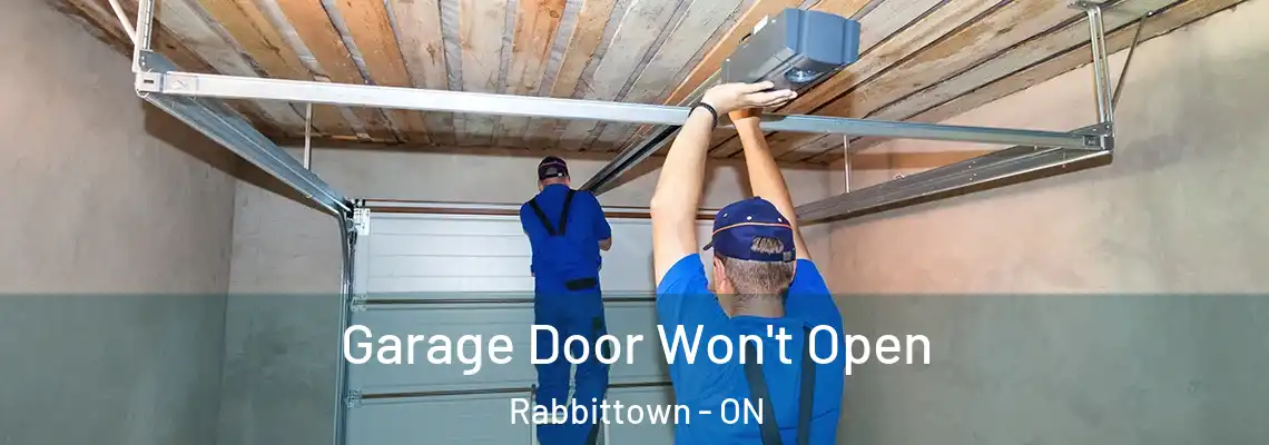 Garage Door Won't Open Rabbittown - ON