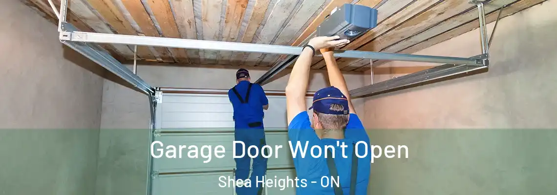 Garage Door Won't Open Shea Heights - ON