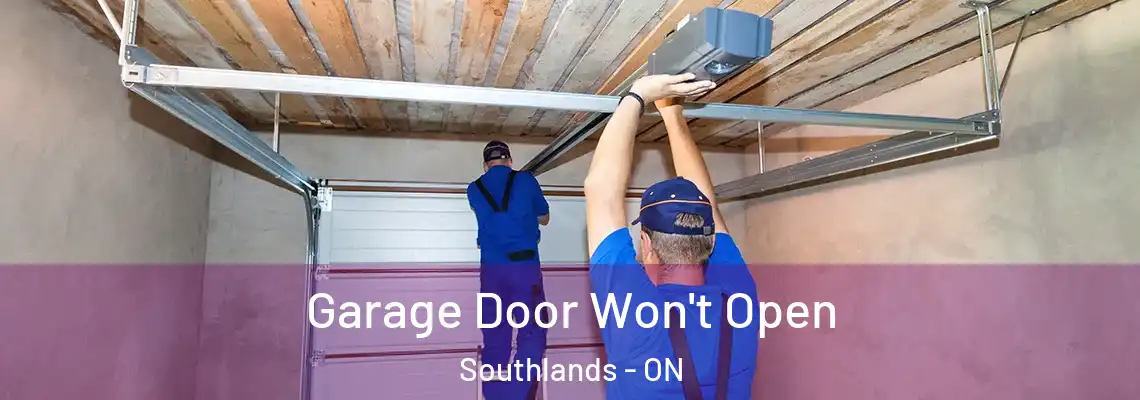 Garage Door Won't Open Southlands - ON