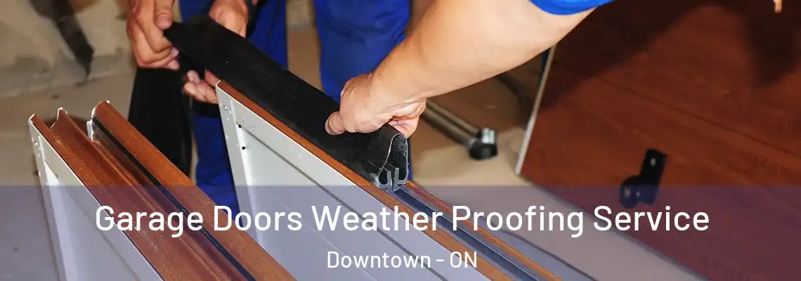 Garage Doors Weather Proofing Service Downtown - ON