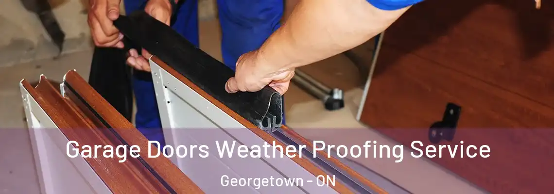 Garage Doors Weather Proofing Service Georgetown - ON