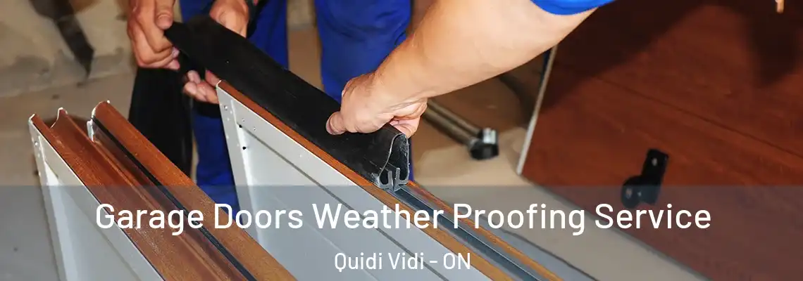Garage Doors Weather Proofing Service Quidi Vidi - ON