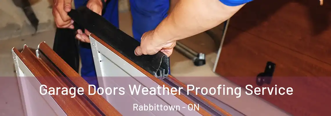 Garage Doors Weather Proofing Service Rabbittown - ON