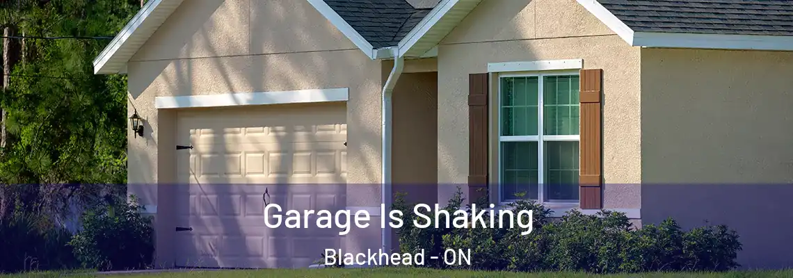 Garage Is Shaking Blackhead - ON
