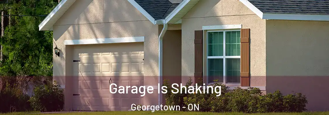 Garage Is Shaking Georgetown - ON