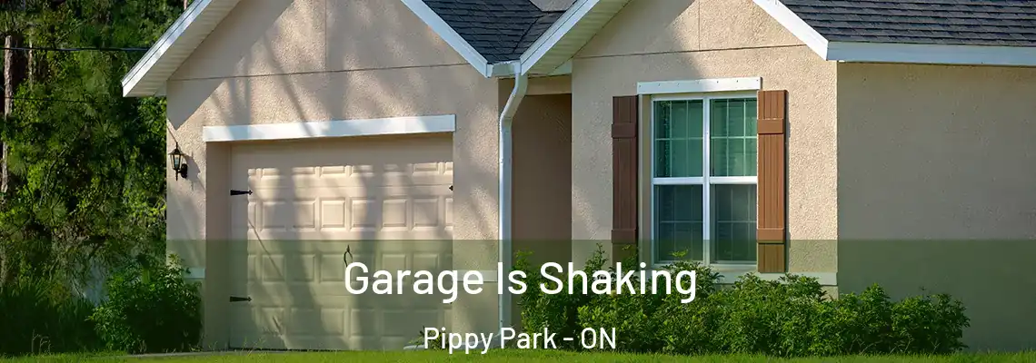 Garage Is Shaking Pippy Park - ON