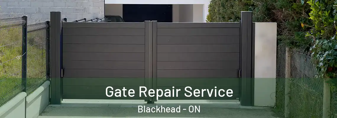 Gate Repair Service Blackhead - ON