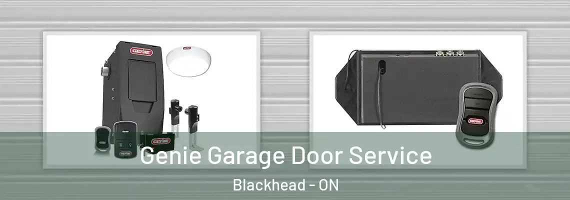 Genie Garage Door Service Blackhead - ON