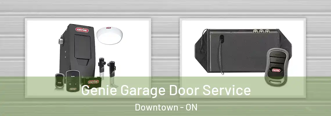 Genie Garage Door Service Downtown - ON