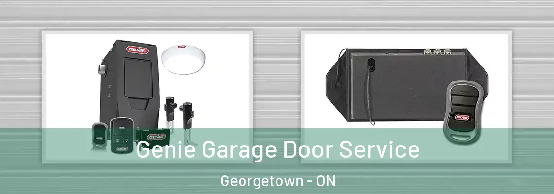 Genie Garage Door Service Georgetown - ON