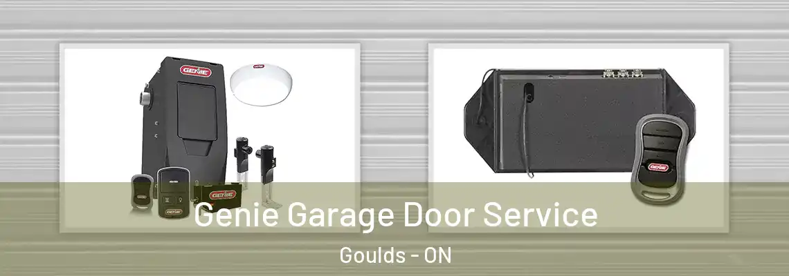 Genie Garage Door Service Goulds - ON