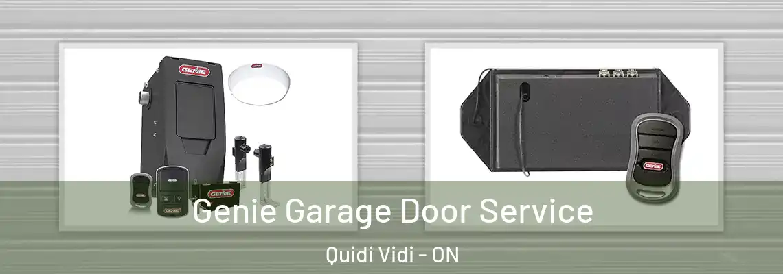 Genie Garage Door Service Quidi Vidi - ON