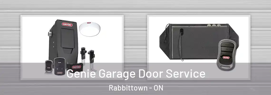 Genie Garage Door Service Rabbittown - ON