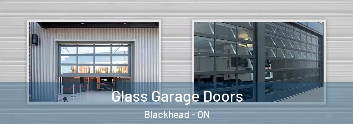 Glass Garage Doors Blackhead - ON