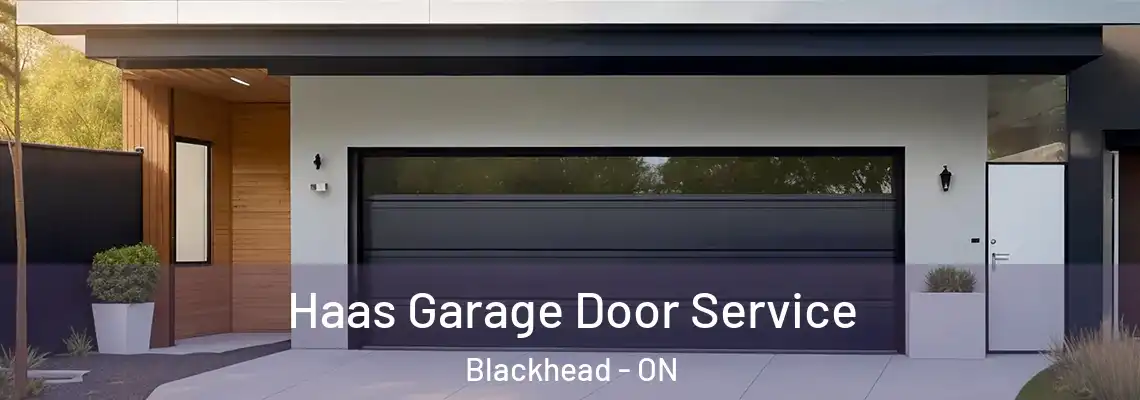 Haas Garage Door Service Blackhead - ON