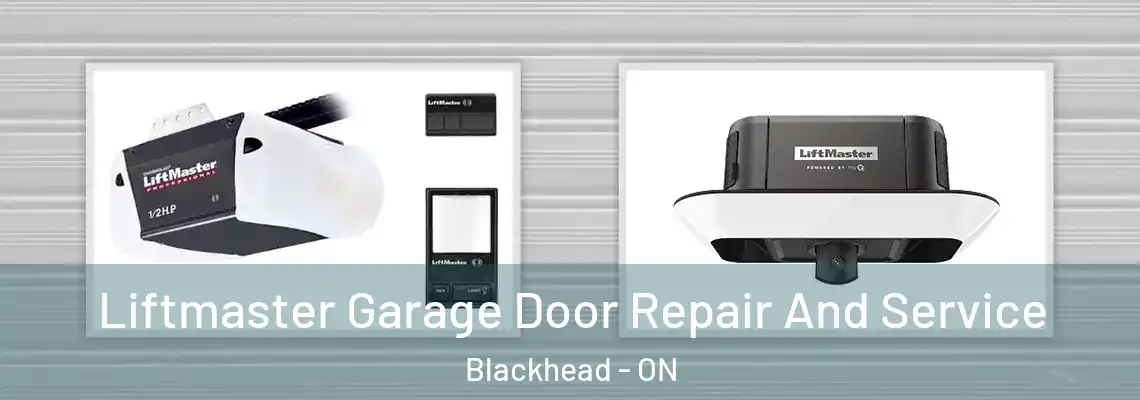 Liftmaster Garage Door Repair And Service Blackhead - ON