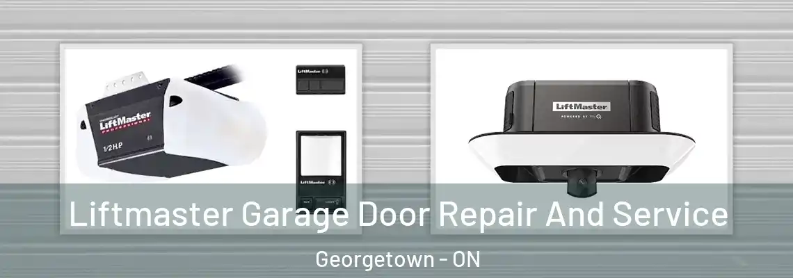 Liftmaster Garage Door Repair And Service Georgetown - ON