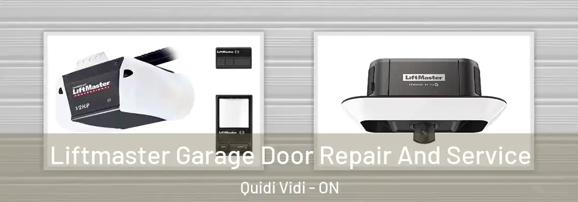 Liftmaster Garage Door Repair And Service Quidi Vidi - ON